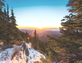 Sketch3������(y��u)�Ŵ��ĝu׃ɫ�W(w��ng)퓱���