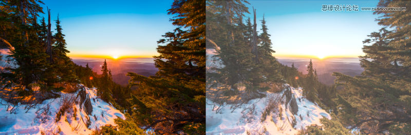 Sketch3�������Ŵ��ĝu׃ɫ�W퓱���