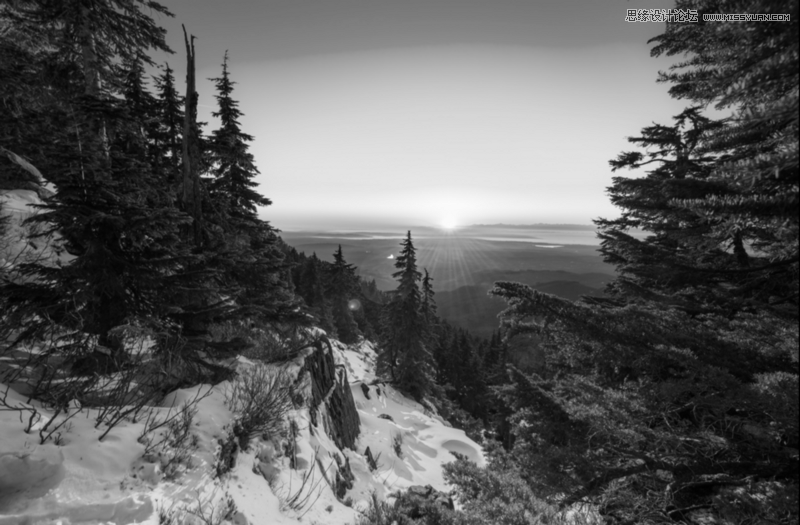 Sketch3�������Ŵ��ĝu׃ɫ�W퓱���