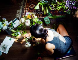 �zӰ������Ĕz�������õ�����zӰ