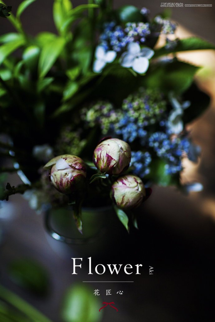 攝影師如何拍攝出最美好的人像攝影