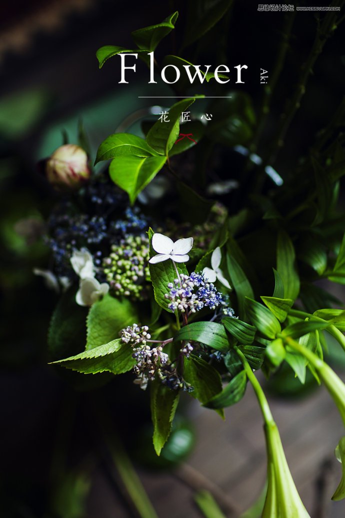 攝影師如何拍攝出最美好的人像攝影