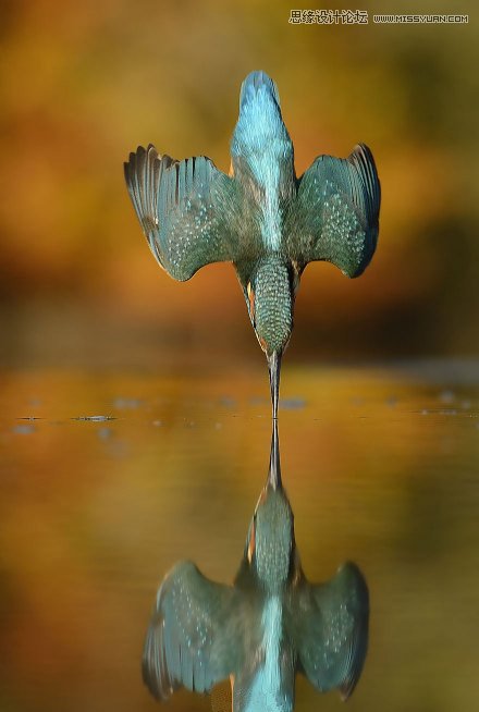 �Ă��˄ݎ������_�uՓ�e�˵ĔzӰ��Ʒ