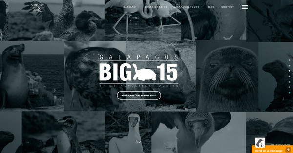 精選國(guó)外非常吸引人的旅游門(mén)戶設(shè)計(jì)欣賞