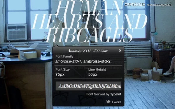 11個為設計師專屬打造的Chrome擴展插件