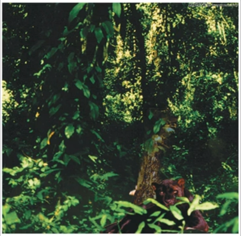 詳細解析設計師用色配色前需要這樣思考