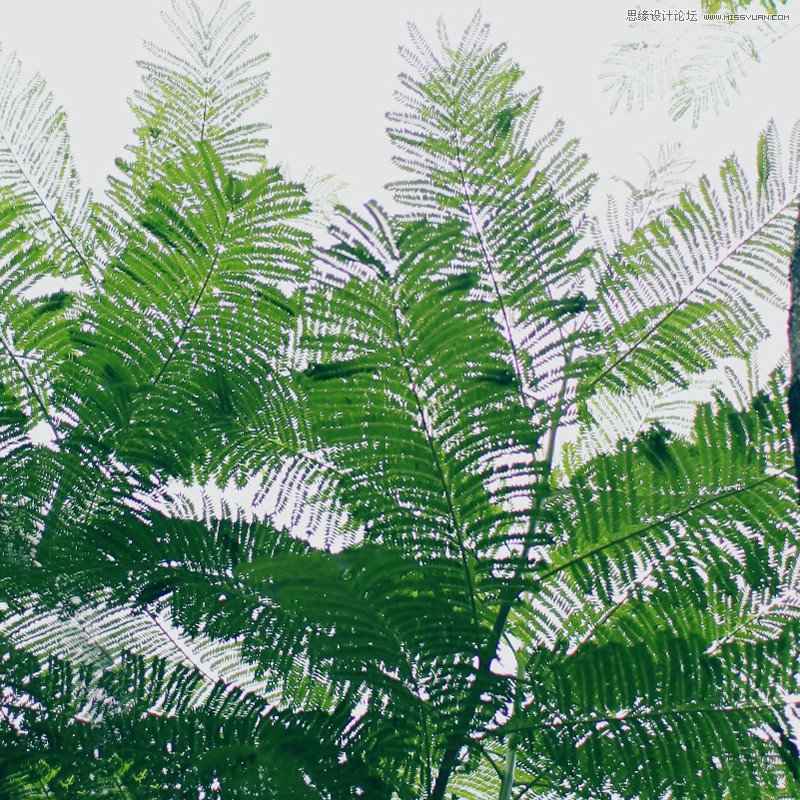 攝影唯一的捷徑首選要學會好好生活