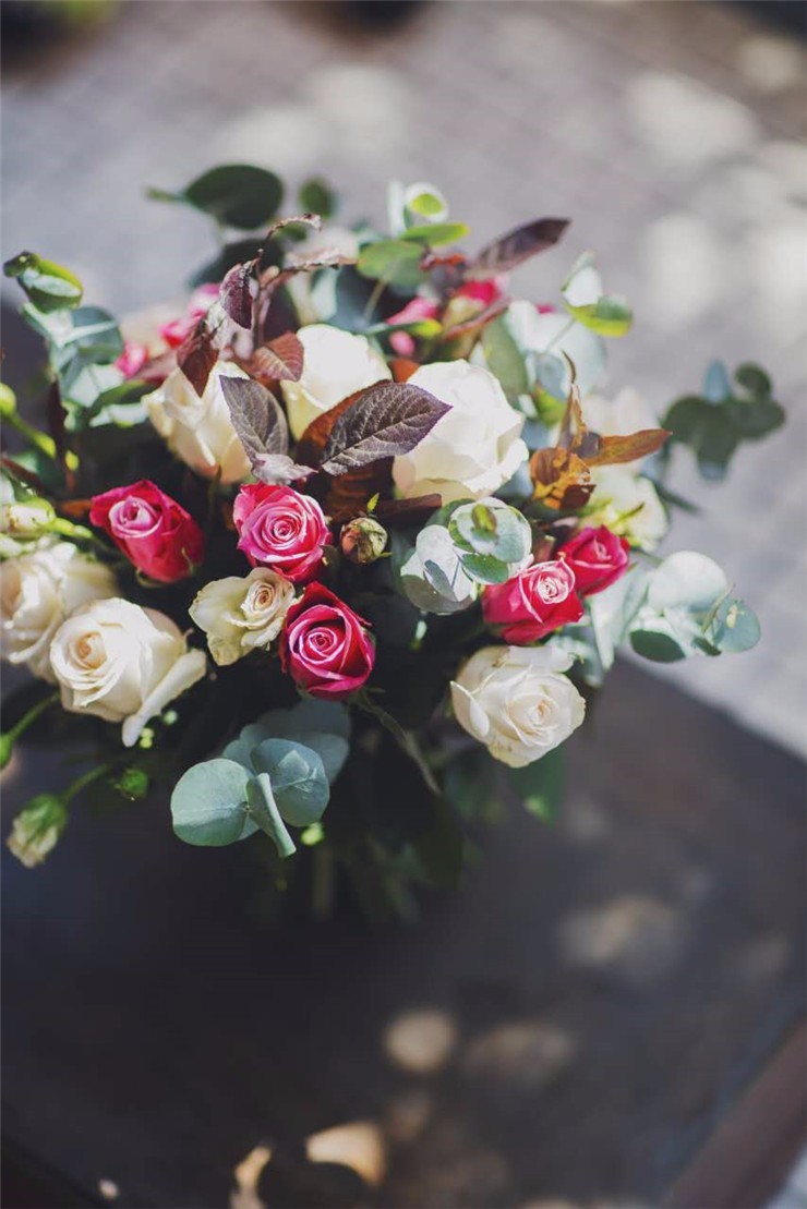 12張圖教你拍出生活中的美麗瞬間