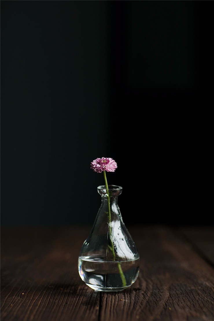 12張圖教你拍出生活中的美麗瞬間