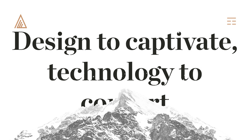 低調(diào)大氣的黑白主題網(wǎng)站設(shè)計欣賞