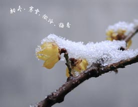 CorelDRAW�������·������