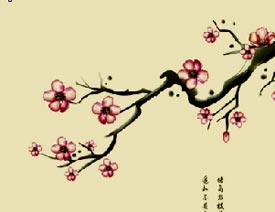 CorelDRAW�������PS����Ƭ�B��Ч��