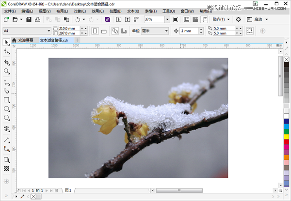 CorelDRAW如何制作路徑文字