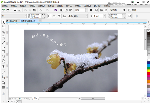 CorelDRAW如何制作路徑文字