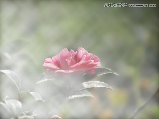 CorelDRAW快速制作雨天雪天和霧天效果