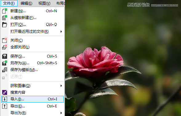 CorelDRAW快速制作雨天雪天和霧天效果