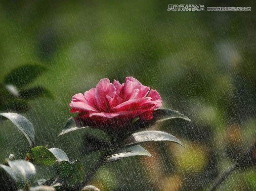 CorelDRAW快速制作雨天雪天和霧天效果