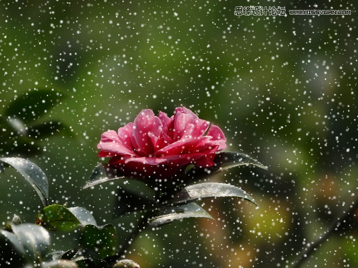 CorelDRAW快速制作雨天雪天和霧天效果