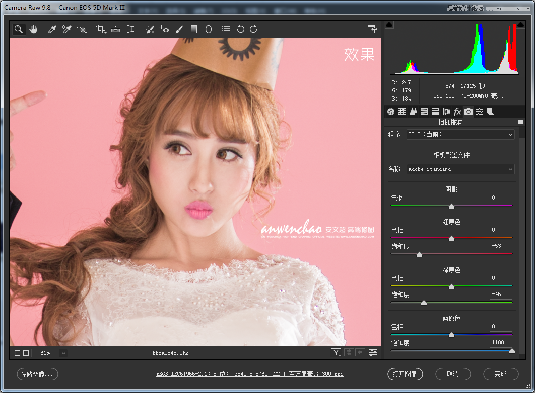 Photoshop�{���҃Ȼ鼆��ƬС����Ч��
