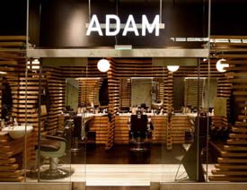����ADAM�r�����l���b���OӋ���p