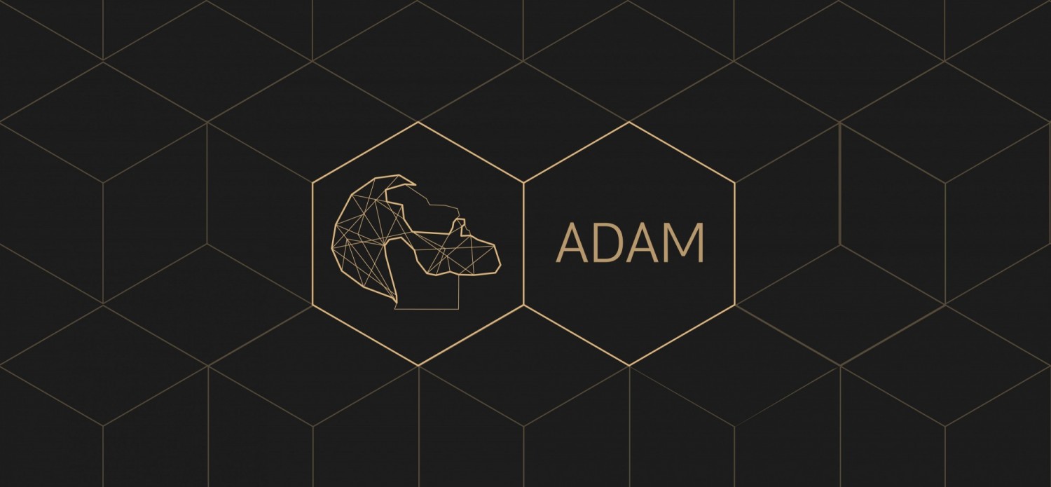 ����ADAM�r�����l���b���OӋ���p