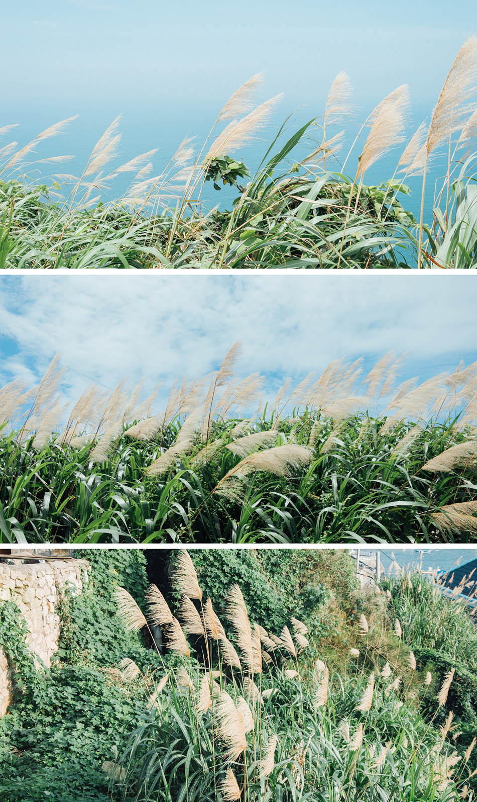 Photoshop�{����ϵ�zƬ�L���{ɫ�̳�