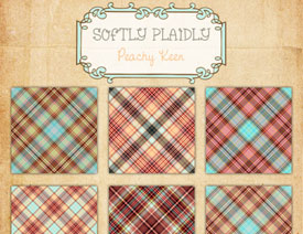 �͹ŵĻ����Ӳ��y����PS���D��