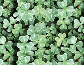 �Gɫ���}���~�ݱ���PS���D��