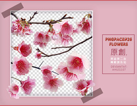 Ư����÷���ͻ���PS�Pˢ