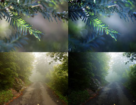 �L����Ƭ����Ч��PS����