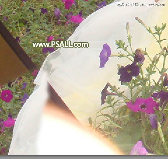 Photoshop快速完美的去除照片左側的障礙物