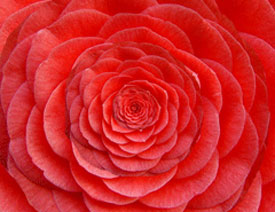 Photoshop������(chu��ng)��Ļ����_�ńӮ�Ч��