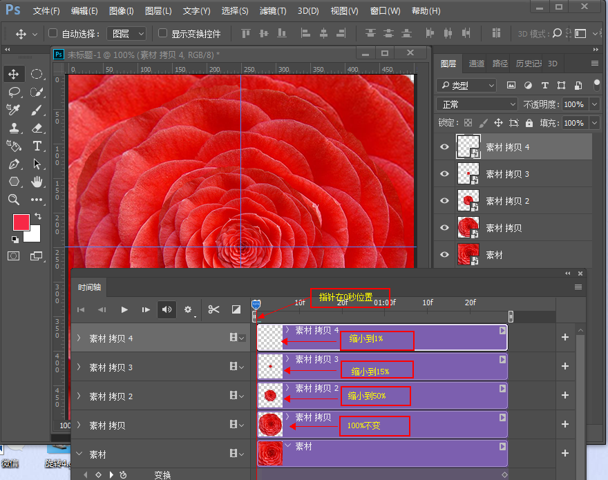 Photoshop制作創意的花朵開放動畫效果