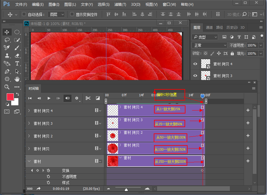 Photoshop制作創意的花朵開放動畫效果
