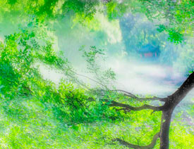 4����˼·̽ӑ���v�����������ռ���