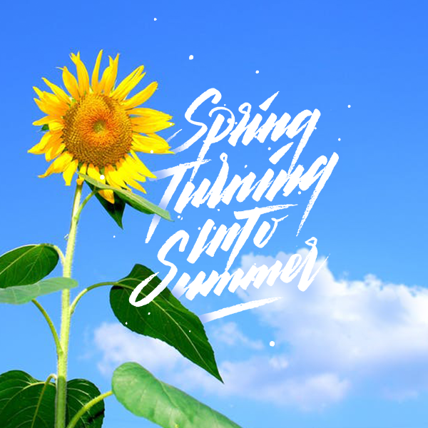 ���ĺ���(b��o)���LӢ�����w�O(sh��)Ӌ(j��)���p