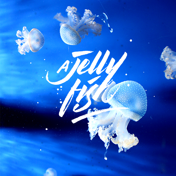 ���ĺ���(b��o)���LӢ�����w�O(sh��)Ӌ(j��)���p