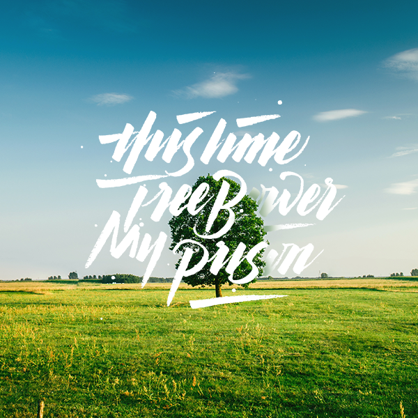 ���ĺ���(b��o)���LӢ�����w�O(sh��)Ӌ(j��)���p