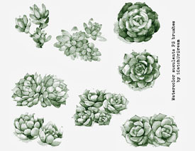 ���wˮ�ʻ����b�PS�Pˢ