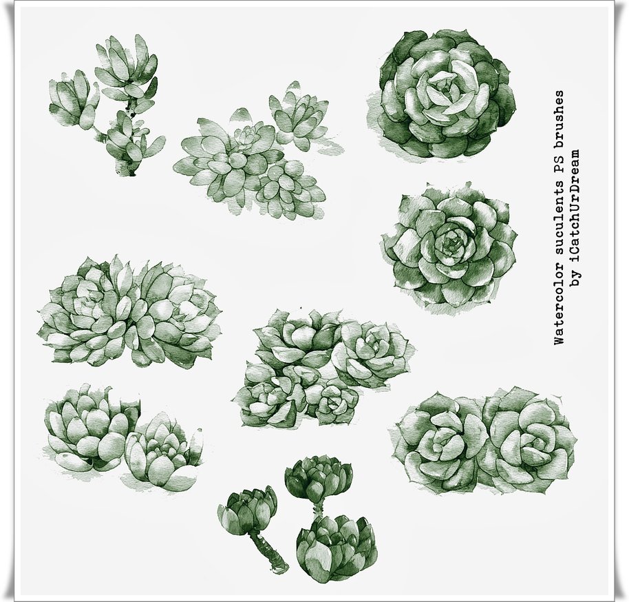 ���wˮ�ʻ����b�PS�Pˢ