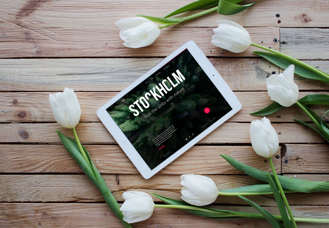 如何快速的設計出城市指南網站著陸頁