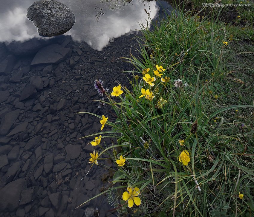 Photoshopͨ�^�ϳɌ������x����ϲ�����ʹ��