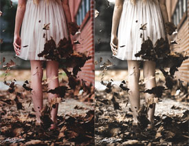 ��Ƭ����Ƭ�͹ő��fЧ��PSD�D��