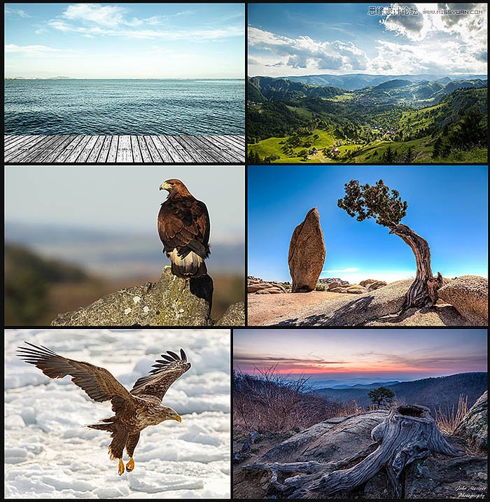 Photoshop�OӋ�＾���}Ů�bȫ�����N����