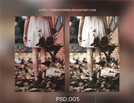 ��Ƭ�͹ő��fˇ�gЧ��PSD�D��