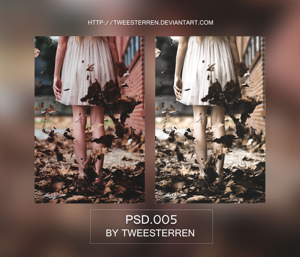 ��Ƭ�͹ő��fˇ�gЧ��PSD�D��