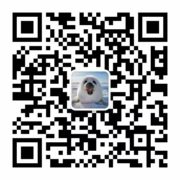 �OӋ�����ȫ�������Լ��Ĺ���Ч��