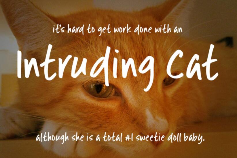 36��r�Ѓ�����OӋ��Ӣ�����w���d