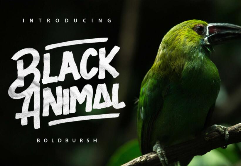 36��r�Ѓ�����OӋ��Ӣ�����w���d