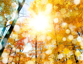 Photoshop�����糿ꖹ�����Ӯ�Ч���D